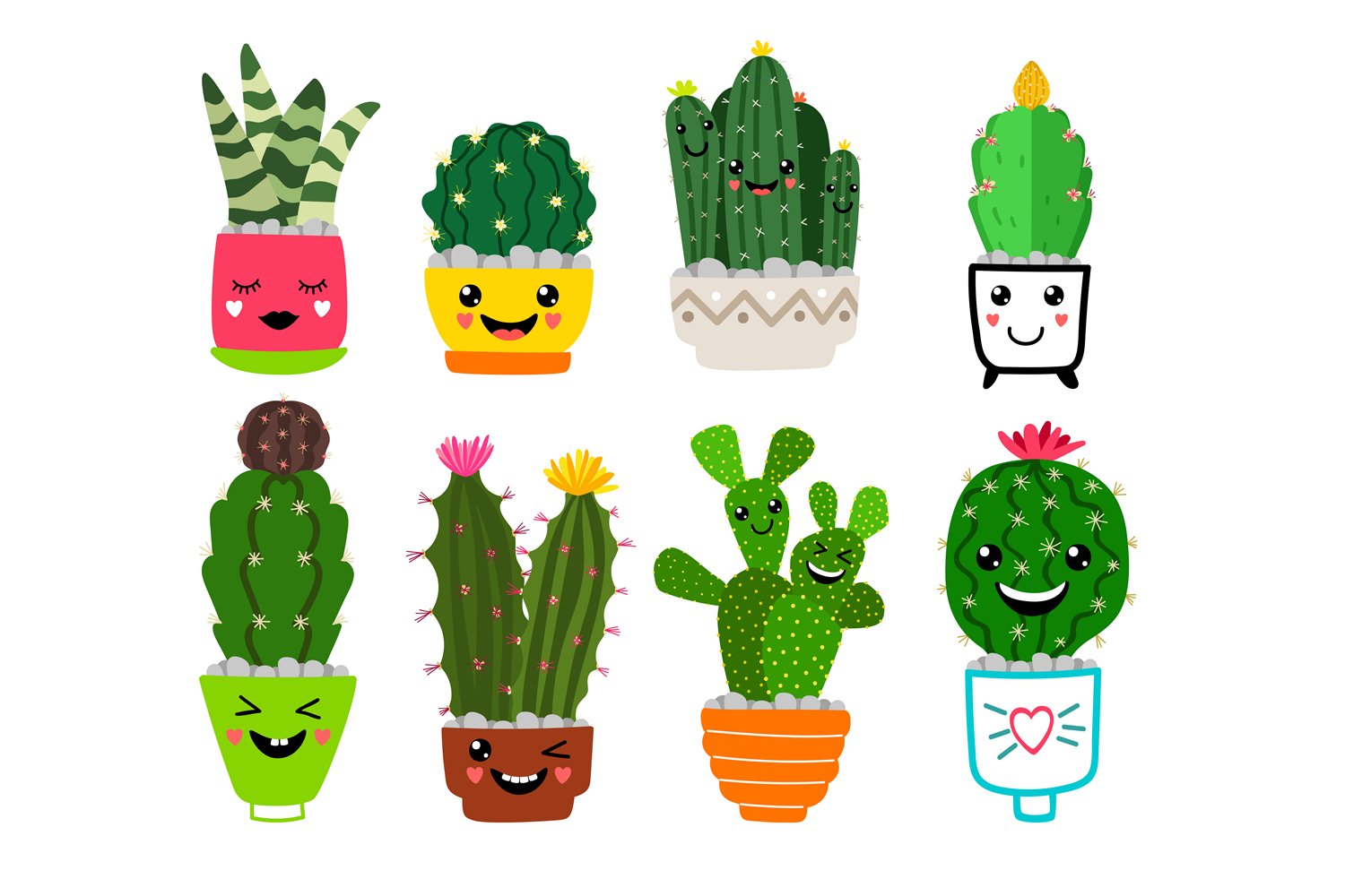 cactus